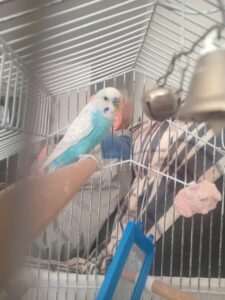 WhatsApp Image 2024-09-14 at 08.48.18_f8175c8c