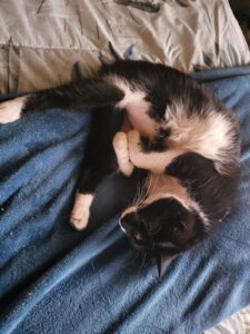 WhatsApp Image 2024-09-15 at 17.29.07_1549d8da